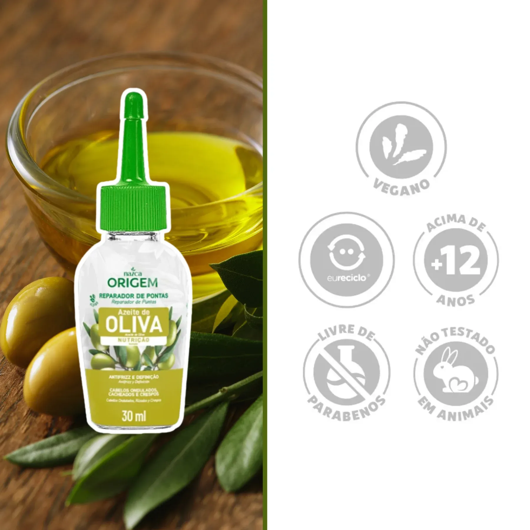 REP OLIVA -2-